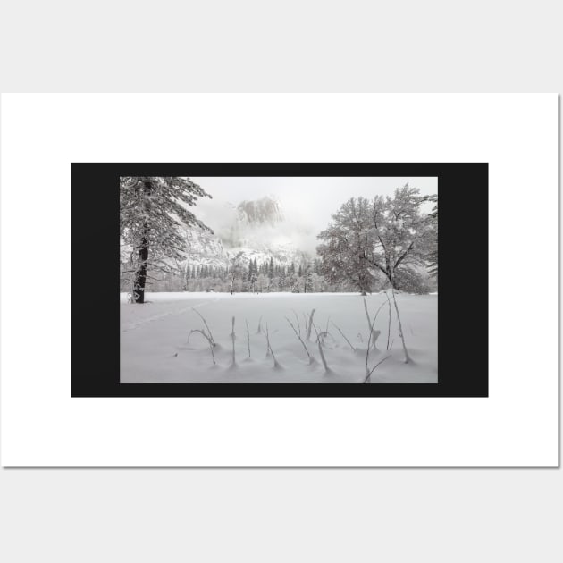 Winter Wall Art by jvnimages